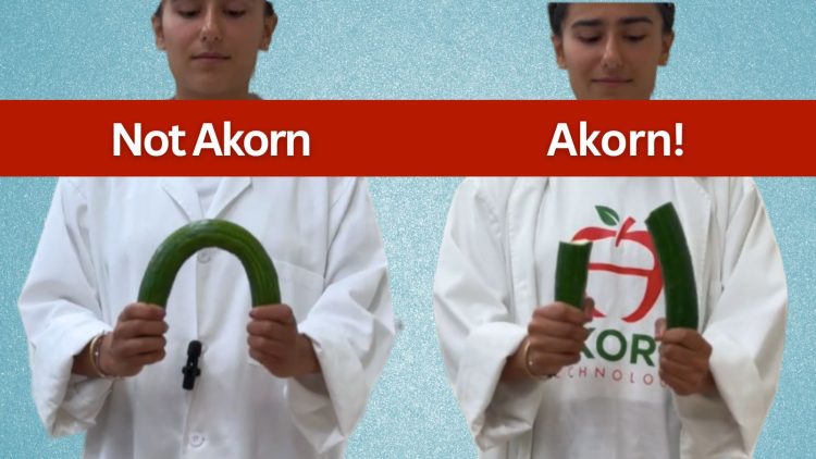 Cutting-edge cucumber coating could spell end to single-use plastic wraps on supermarket shelves