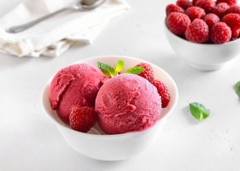 From Dairy Ice Cream to Sorbet – Fresh Ideas for New Ice Cream Creations