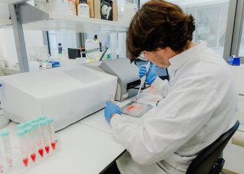 Novella, Metaphor Foods Unite to Commercialize Cell–Based Natural Preservatives