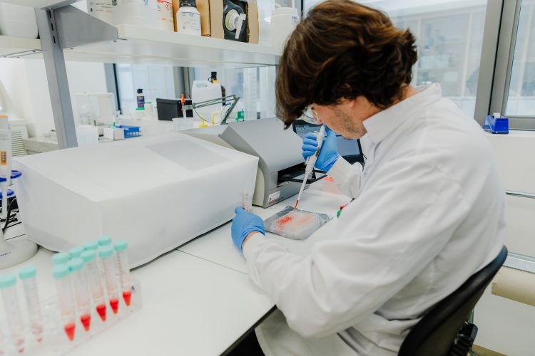 Novella, Metaphor Foods Unite to Commercialize Cell–Based Natural Preservatives