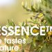 Kemin Food Technologies – EMEA Launches Next Generation of OLESSENCE™ Natural Solutions
