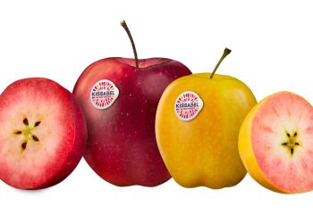 Kissabel® Showcases Extraordinary Taste and Colours at Fruit Attraction (Hall 08 – Stand 8A16)