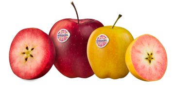 Kissabel® Showcases Extraordinary Taste and Colours at Fruit Attraction (Hall 08 – Stand 8A16)