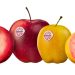 Kissabel® Showcases Extraordinary Taste and Colours at Fruit Attraction (Hall 08 – Stand 8A16)
