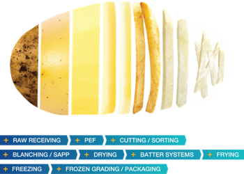 The Importance of Hygiene in the Potato Factory: Offsetting Costs, Elevating Uptime