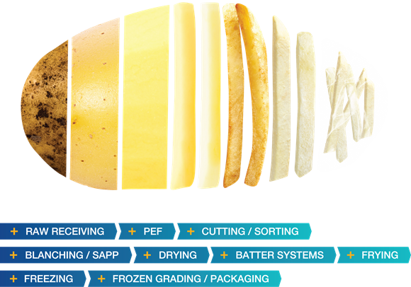 The Importance of Hygiene in the Potato Factory: Offsetting Costs, Elevating Uptime