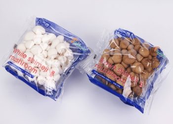 Middle East Market Embraces Premium Chinese Mushrooms through  Onedayone–Finc Partnership