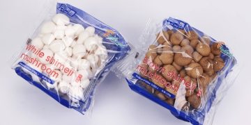 Middle East Market Embraces Premium Chinese Mushrooms through  Onedayone–Finc Partnership