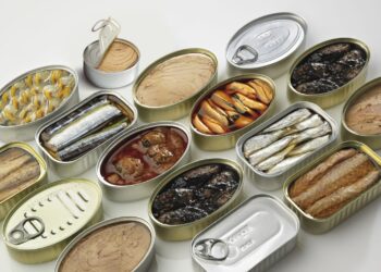 Sustainability, International Trust, and the Support of the ANFACO‑CYTMA Ecosystem for Spanish Canned Fish and Seafood