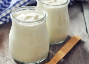 Roquette launches breakthrough clean-tasting pea protein isolate