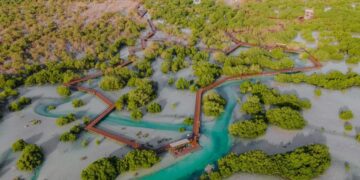 Abu Dhabi launches Hamdan bin Zayed: The World’s Richest Seas initiative to increase fish stocks and support food security