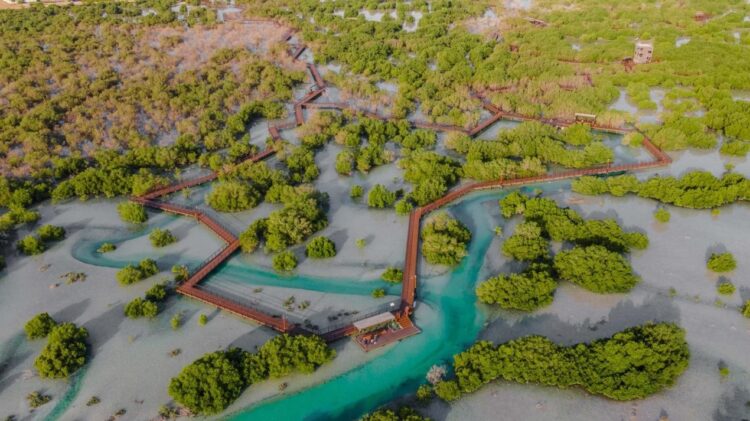 Abu Dhabi launches Hamdan bin Zayed: The World’s Richest Seas initiative to increase fish stocks and support food security