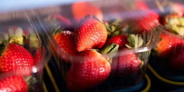 JBT Marel unveils new Proseal XT2 tray sealing machine