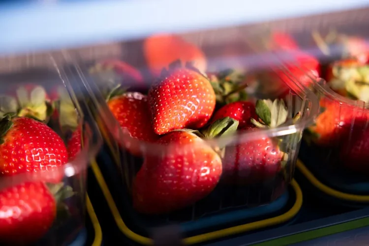 JBT Marel unveils new Proseal XT2 tray sealing machine