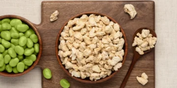 Happy Plant Protein’s technology to be deployed in a first-of-its-kind agriculture-based production facility in Latvia and Europe