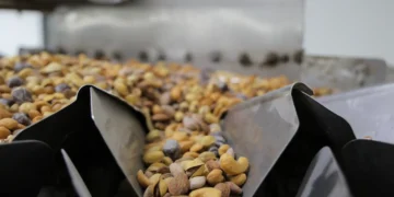 Leadership in Times of Crisis: Castania Reinforces Its Position as the Benchmark of the Nuts Category