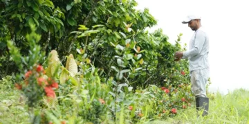 Mars and ofi Announce Strategic Collaboration to Accelerate Net Zero Cocoa in Ecuador