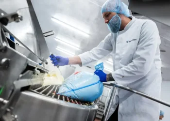 The Rise of Centralised Food Production in the Middle East