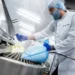 The Rise of Centralised Food Production in the Middle East