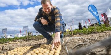 PotatoEurope and SugarBeet Expo 2026: Strong Momentum for Competitive Root Crop Production